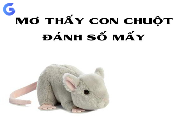 Con chuột số mấy trong XSMB? Con chuột số mấy trong XSMB?