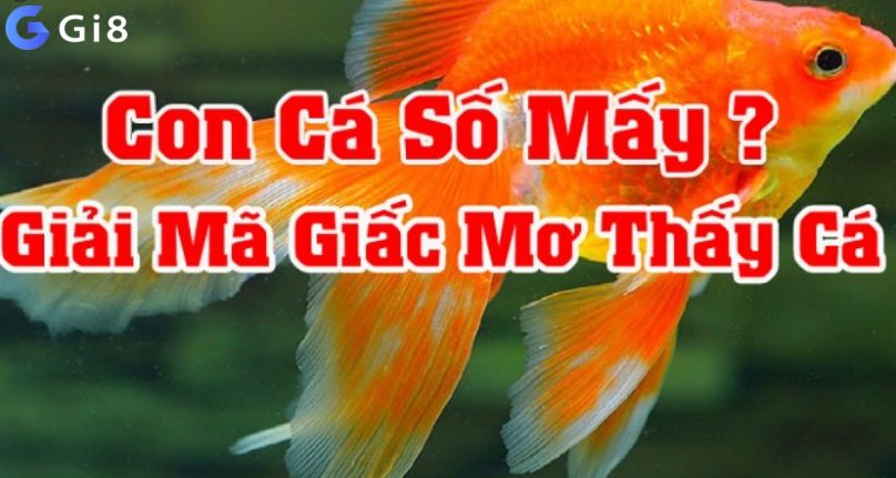 Giãi mã giấc mơ thấy cá