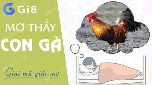 Giải mã giấc mơ thấy gà Giải mã giấc mơ thấy gà