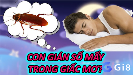 Con Gián Số Mấy Trong Giấc Mơ? Con Gián Số Mấy Trong Giấc Mơ?