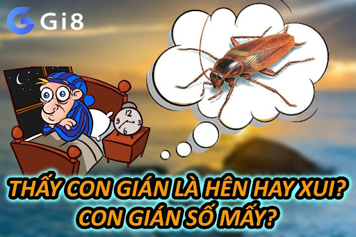 Thấy Con Gián Là Hên Hay Xui? Con Gián Số Mấy Thấy Con Gián Là Hên Hay Xui? Con Gián Số Mấy