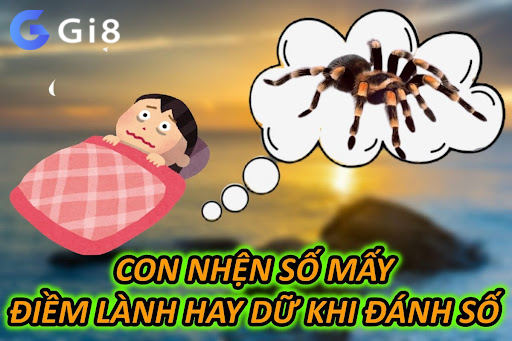 Con Nhện – Điềm Lành Hay Dữ Khi Đánh Số Con Nhện Số Mấy - Điềm Lành Hay Dữ Khi Đánh Số