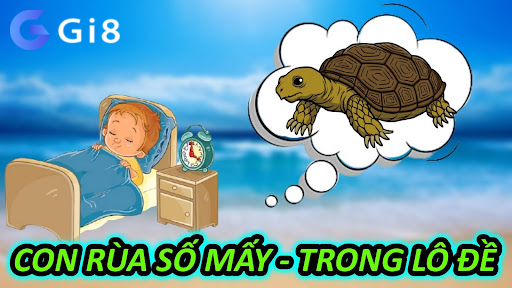 Con Rùa Số Mấy – Trong Lô Đề Con Rùa Số Mấy - Trong Lô Đề