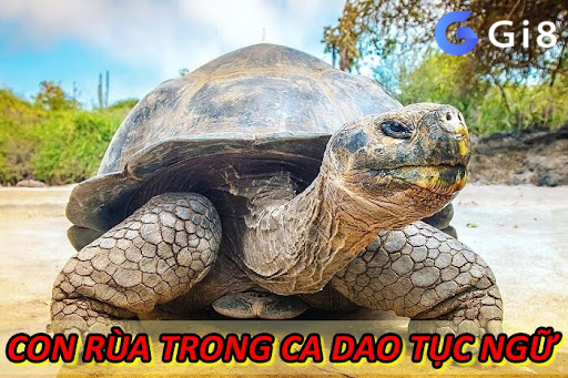 Con Rùa Trong Ca Dao Tục Ngữ Con Rùa Trong Ca Dao Tục Ngữ