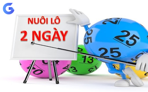 Hướng dẫn nuôi bạch thủ lô khung 2 ngày chi tiết nhất Hướng dẫn nuôi bạch thủ lô khung 2 ngày chi tiết nhất kinh nghiem lo de