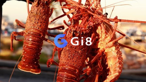 Nếu bạn chiêm bao thấy tôm hùm – loài tôm được xem là xa xỉ thì đó là điềm báo không tốt. Nếu bạn chiêm bao thấy tôm hùm - loài tôm được xem là xa xỉ thì đó là điềm báo không tốt.