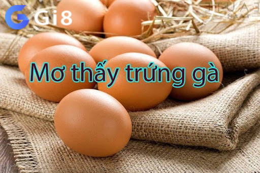 Chiêm bao thấy trứng gà có nhiều ý nghĩa Chiêm bao thấy trứng gà có nhiều ý nghĩa