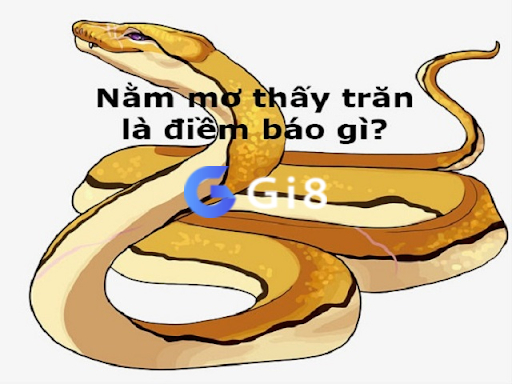 Mơ thấy con trăn Mơ thấy con trăn