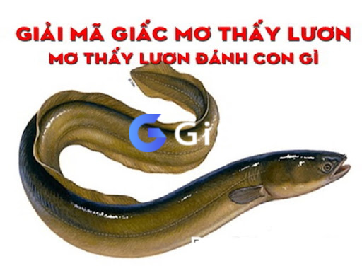 Giải mã bắt được con lươn đánh số mấy Giải mã bắt được con lươn đánh số mấy