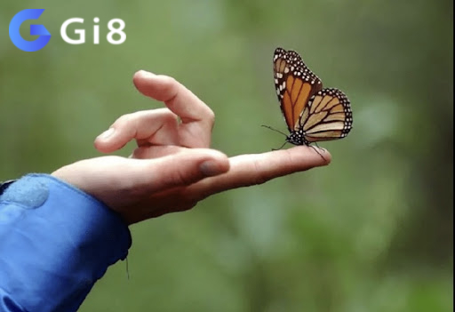 Cùng chuyên gia lô đề cf68 giải mã giấc mơ bướm đậu vào người đánh số gì Cùng chuyên gia lô đề cf68 giải mã giấc mơ bướm đậu vào người đánh số gì