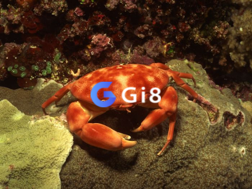 Điềm báo của những giấc mơ thấy con cua Điềm báo của những giấc mơ thấy con cua