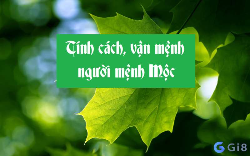 Đặc điểm của người mệnh mộc Đặc điểm của người mệnh mộc