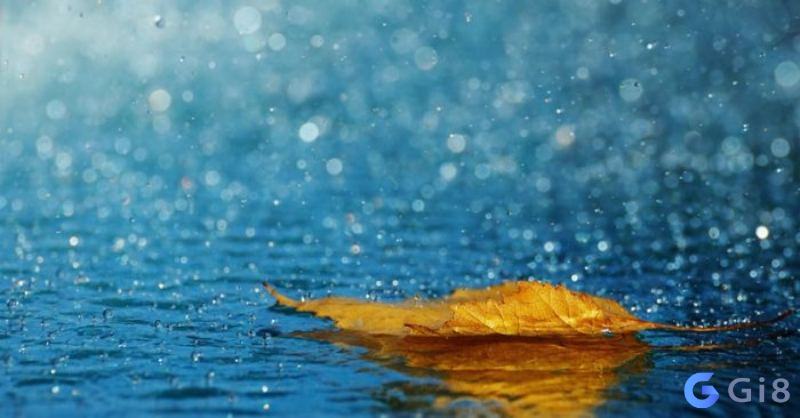 Mơ thấy trời mưa rất lớn nhưng không phải bão tố nằm mơ thấy trời mưa đánh con gì