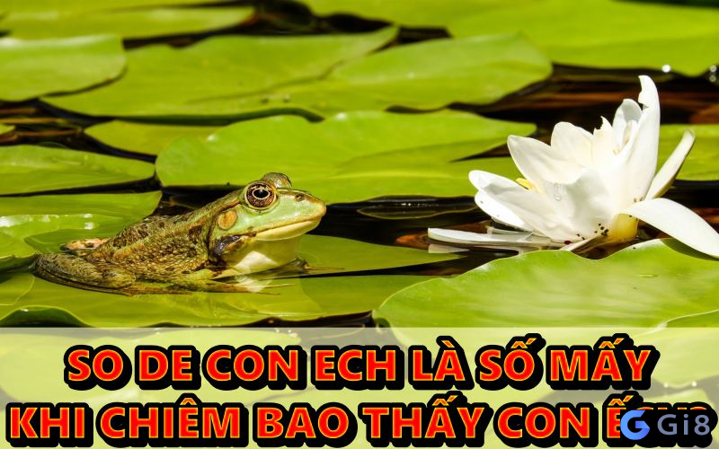 Điềm hung hay cát ứng với nằm mơ thấy con ếch? so de con ech