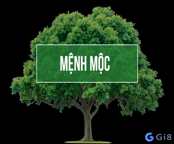 Mệnh mộc hợp số gì Mệnh mộc hợp số gì