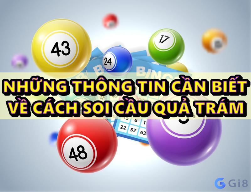 Những thông tin cần biết về cách soi cầu quả trám cầu quả trám