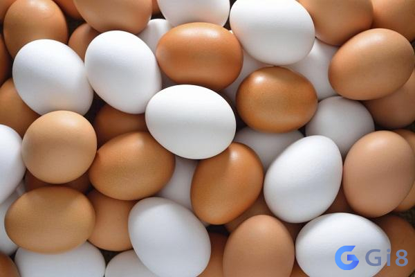 Mơ thấy trứng gà - phang con gì cho chuẩn? Mơ thấy trứng gà - phang con gì cho chuẩn?