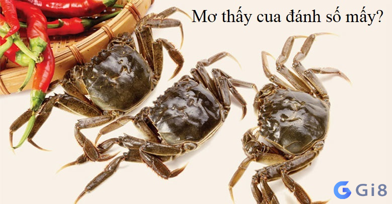 mơ thấy con cua Con cua số mấy? 1 lời giải cho mơ thấy cua