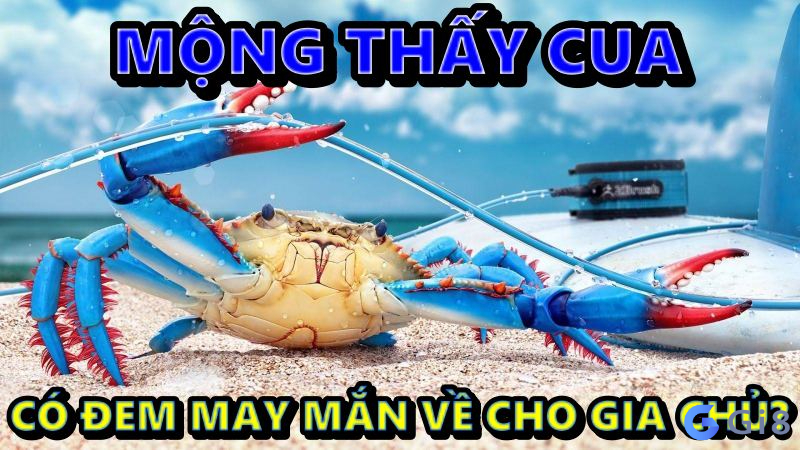 Giấc Mơ Thấy Cua Có Đem May Mắn Về Cho Gia Chủ? mơ thấy cua