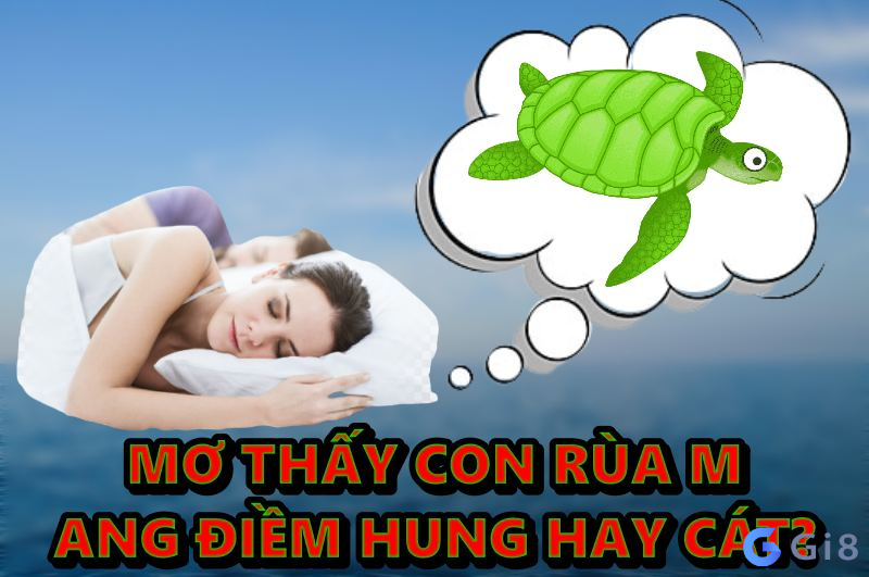 Mơ thấy con rùa mang điềm hung hay cát? mơ thấy con rùa