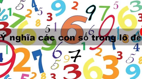 Cách sử dụng các con số đề theo con vật hiệu quả nhất Cách sử dụng các con số đề theo con vật hiệu quả nhất