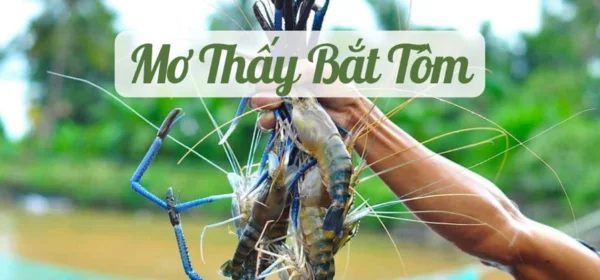 Nắm vững thông tin về Con tôm trong số đề là số mấy để chơi hiệu quả Nắm vững thông tin về Con tôm trong số đề là số mấy để chơi hiệu quả