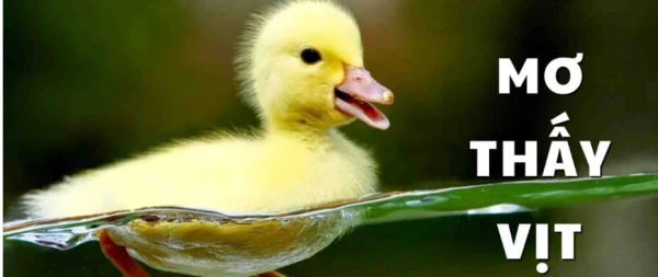 Ý nghĩa của con vịt trong cuộc sống hàng ngày là gì? Ý nghĩa của con vịt trong cuộc sống hàng ngày là gì?