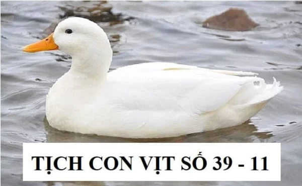 Điềm báo của giấc mơ nhìn thấy con vịt là gì? Điềm báo của giấc mơ nhìn thấy con vịt là gì?