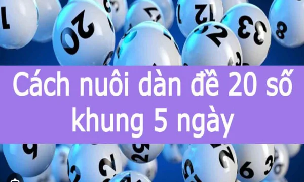 Nắm vững thông tin về dàn đề 20 số khung 5 ngày để sử dụng hiệu quả Nắm vững thông tin về dàn đề 20 số khung 5 ngày để sử dụng hiệu quả