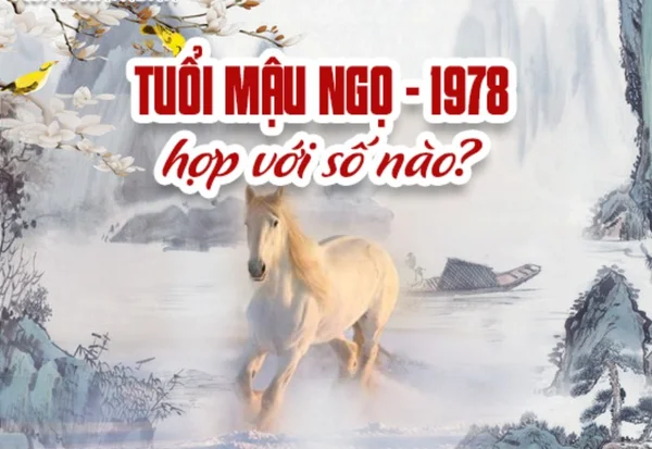 Tuổi ngọ hợp số mấy theo phong thủy theo từng năm sinh Tuổi ngọ hợp số mấy theo phong thủy theo từng năm sinh