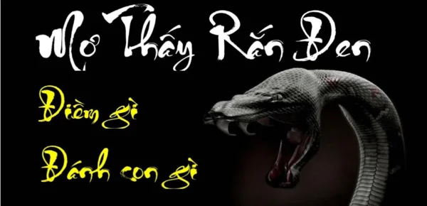 Tìm hiểu thông tin về nằm mơ thấy rắn đen trắng Tìm hiểu thông tin về nằm mơ thấy rắn đen trắng