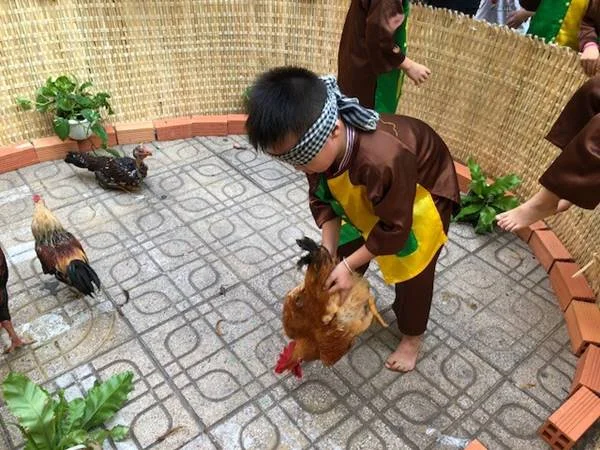 Tìm hiểu thông tin về giấc mơ thấy bắt gà Tìm hiểu thông tin về giấc mơ thấy bắt gà