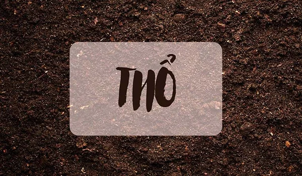 Mệnh thổ hợp số nào? Những con số người mệnh thổ nên tránh là gì? Mệnh thổ hợp số nào? Những con số người mệnh thổ nên tránh là gì?