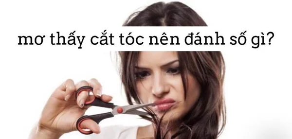 Mơ cắt tóc đánh con gì? Điềm báo trong giấc mơ cắt tóc là gì? Mơ cắt tóc đánh con gì? Điềm báo trong giấc mơ cắt tóc là gì?