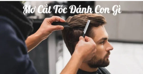 Mơ cắt tóc đánh con gì? Ý nghĩa của những giấc mơ thấy cắt tóc Mơ cắt tóc đánh con gì? Ý nghĩa của những giấc mơ thấy cắt tóc