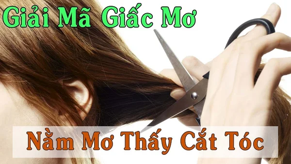 Mơ cắt tóc đánh con gì? Những con số may mắn liên quan đến giấc mơ cắt tóc Mơ cắt tóc đánh con gì? Những con số may mắn liên quan đến giấc mơ cắt tóc
