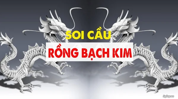 Khi soi cầu trong bạch kim cần chú ý những điều gì? Khi soi cầu trong bạch kim cần chú ý những điều gì?