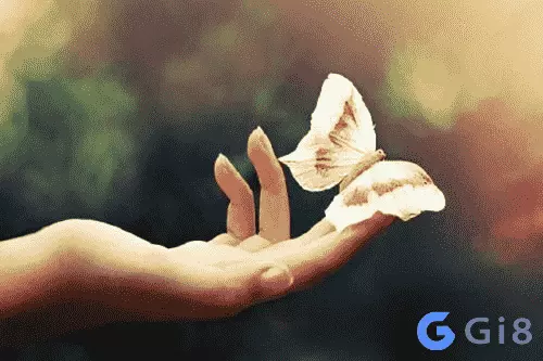 Con bướm số đề số mấy khi nằm mơ Con bướm số đề số mấy khi nằm mơ