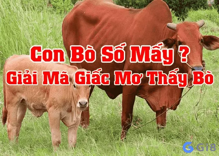 con bò số mấy Mơ thấy bò đánh con gì chuẩn nhất