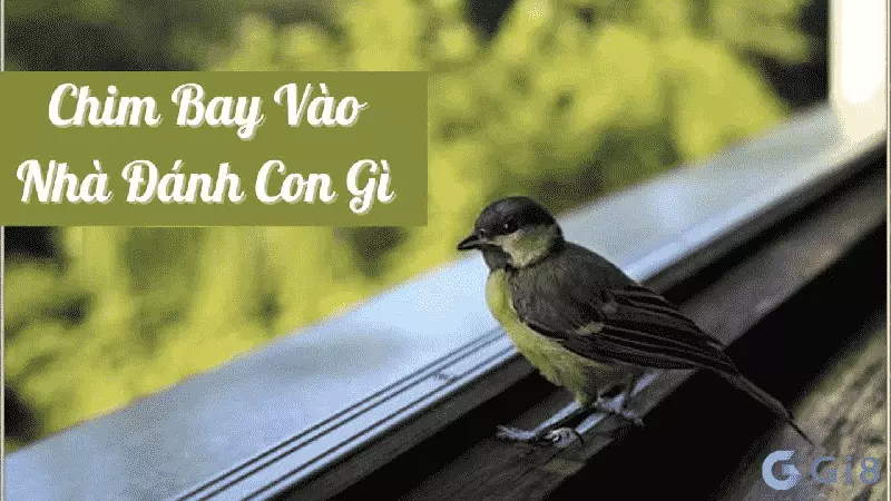 Chim sâu bay vào nhà “chốt” con gì? Chim sâu bay vào nhà đánh con gì?
