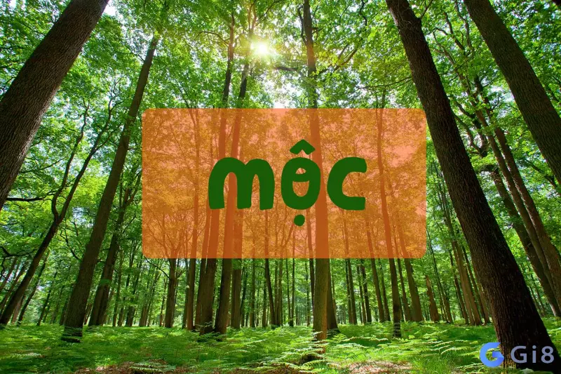 Mệnh Mộc – Một trong năm ngũ hành Mệnh mộc hợp số mấy theo phong thủy?