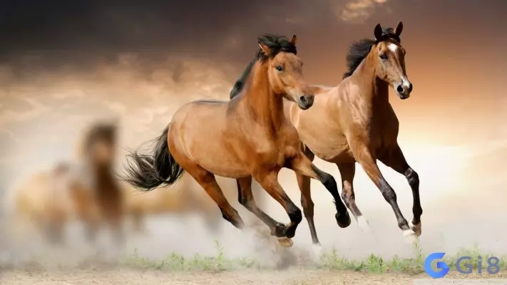 Lưu ý khi tìm ra con số may mắn của tuổi ngọ Lưu ý khi tìm ra con số may mắn của tuổi ngọ