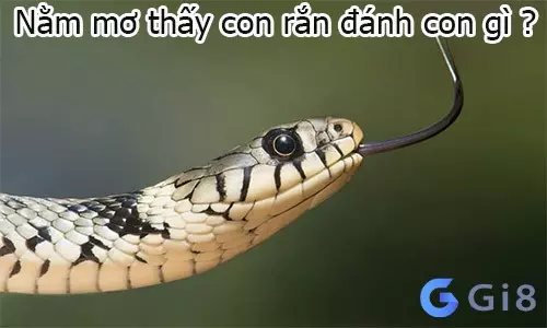 nằm mơ thấy rắn là số mấy nằm mơ thấy rắn là số mấy