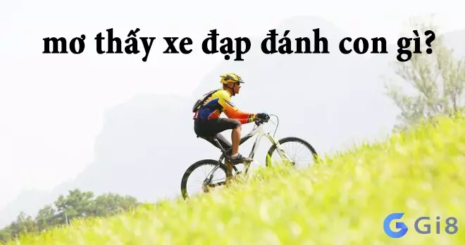 Mơ đi xe đạp đánh con gì Mơ đi xe đạp đánh con gì