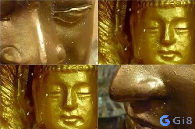 Hoa ưu đàm trên tượng Phật Hoa ưu đàm là hoa gì? Bí mật bất ngờ về loài hoa này