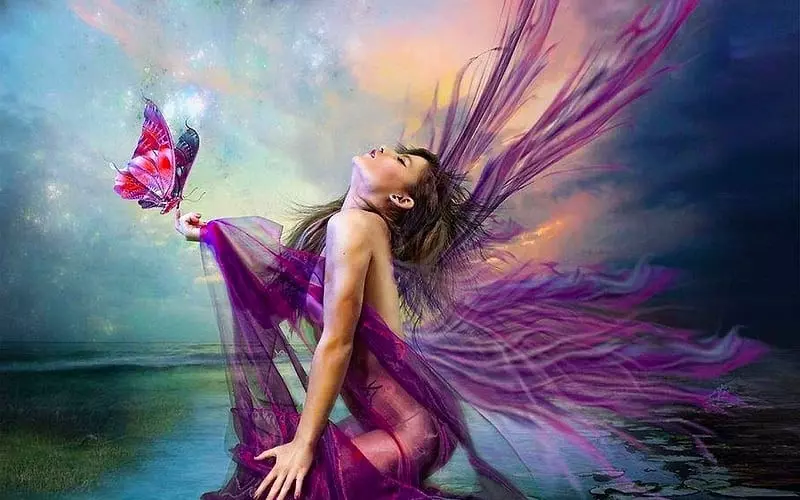 Mằm mộng thấy mình biến thành bươm bướm là giấc mơ khởi sắc Mằm mộng thấy mình biến thành bươm bướm là giấc mơ khởi sắc