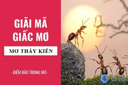 giấc mơ thấy kiến Nằm mơ thấy kiến đánh con gì? Có điềm báo gì? (Lành hay Dữ)