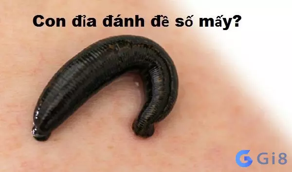 Con đỉa số mấy Con đỉa số mấy? Mơ thấy đỉa có phải là điềm lành không?