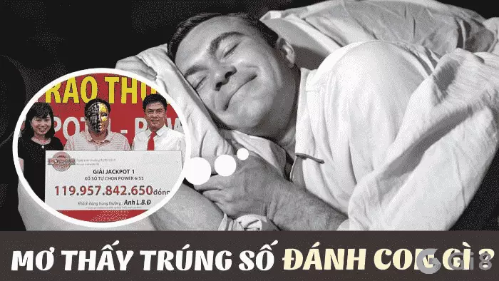 Mơ trúng số Mơ số đề đánh con gì chuẩn chuyên gia