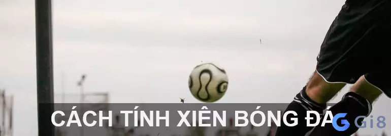 Hiểu thêm về cách tính tiền cược khi chơi cược xien Xiên - Thế nào là cược xiên?